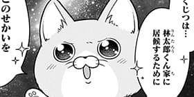 [40話]なにがニャンでも居候!!