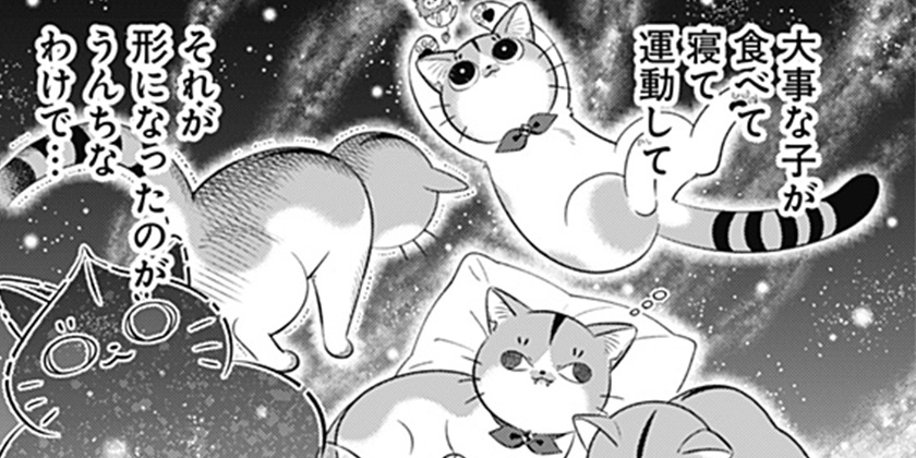 [第10話 彼女ができたなんて]宮王太郎が猫を飼うなんて