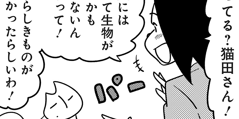 [4039回]猫田びより - 久楽 | 少年ジャンプ＋