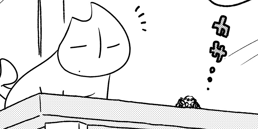 [4044回]猫田びより - 久楽 | 少年ジャンプ＋