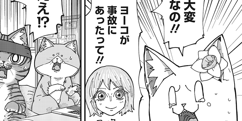 [第177話]ラーメン赤猫 - アンギャマン | 少年ジャンプ＋