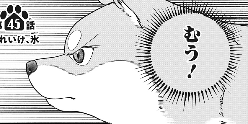 [第45話]シバつき物件 - 大森えす | 少年ジャンプ＋