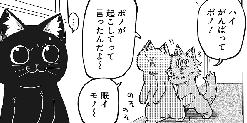 少年ジャンプ＋（ラーメン赤猫）