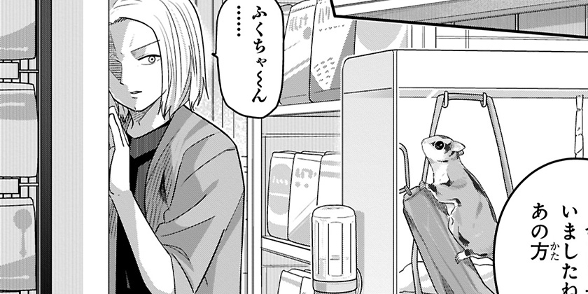 [第145話]カワイスギクライシス