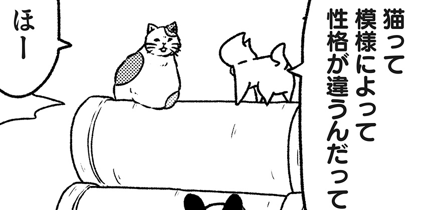 猫田さん 4233回]猫田びより - 久楽 | 少年ジャンプ＋