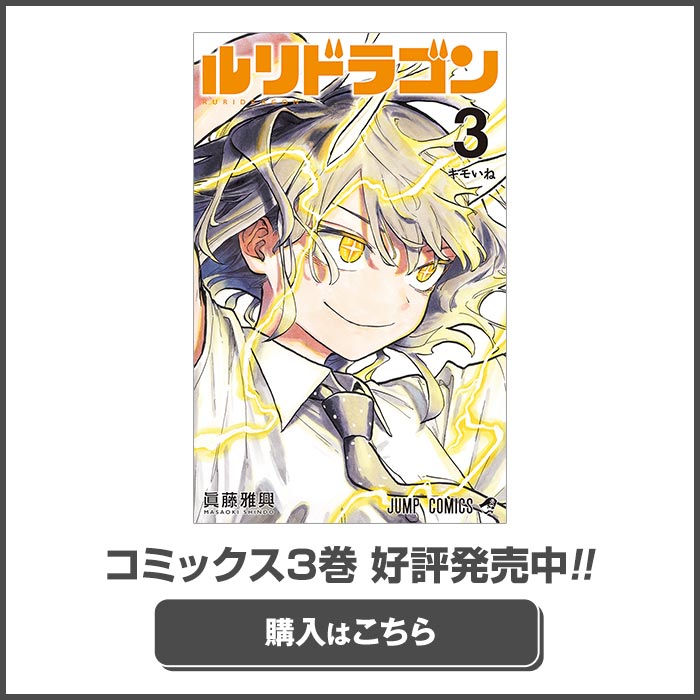ルリドラゴンB3ポスター販促非売品