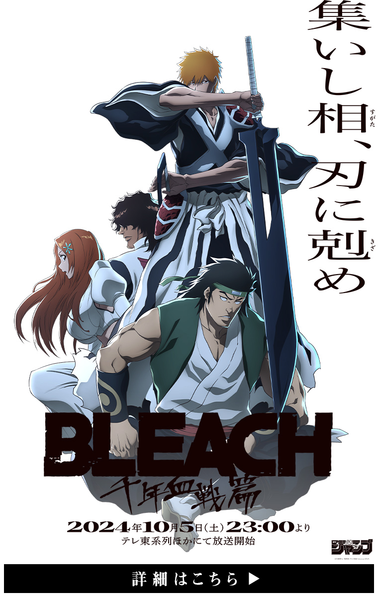 BLEACH 全巻+プラス BLEACH コミック 久保帯人 1〜74全巻 プラスα CD