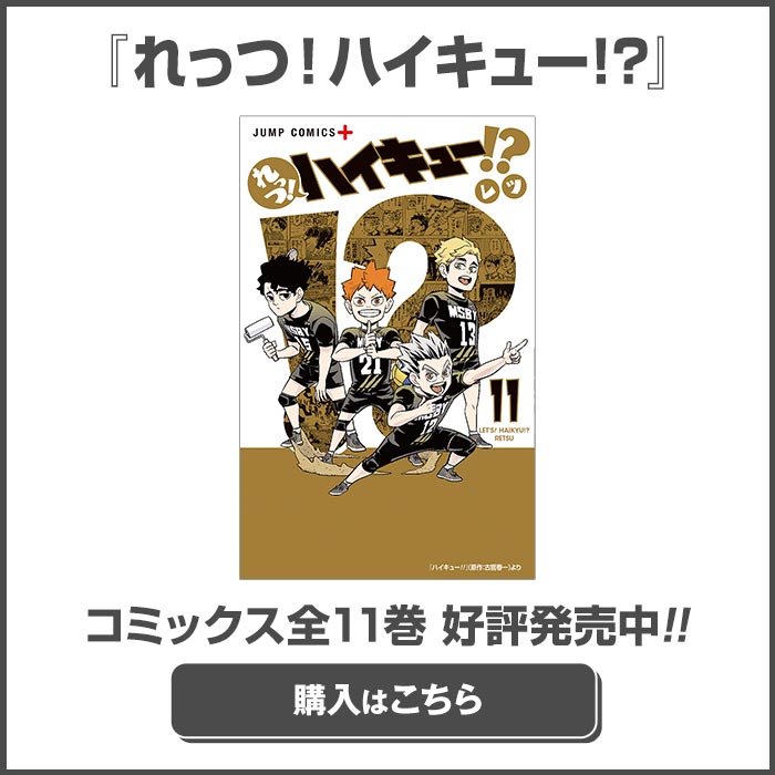 在庫ラスト！ハイキュー 全巻セット マンガ 完結 33.5付き