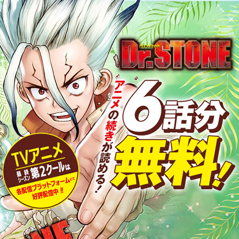 Dr.STONE