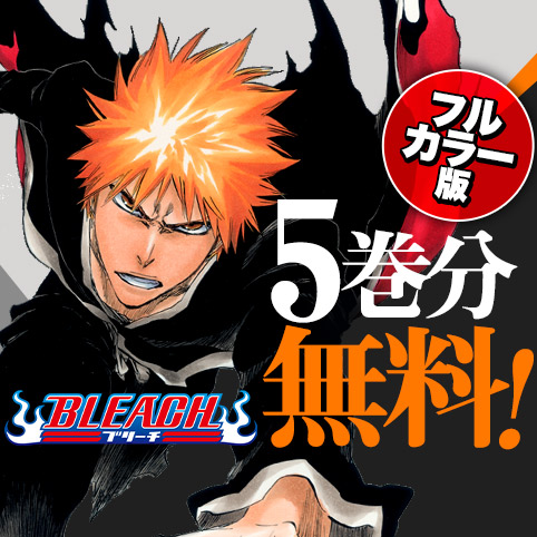 BLEACH カラー版