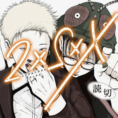 2×2×X