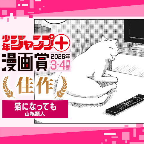 猫になっても／ジャンプ＋漫画賞 2026年3-4月期 - 山根顕人 | 少年ジャンプ＋