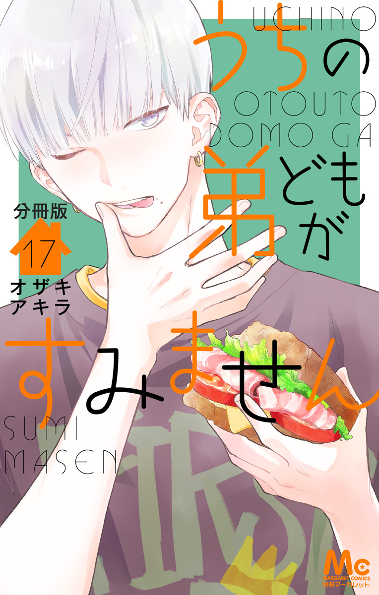 うちの弟どもがすみません 分冊版 17