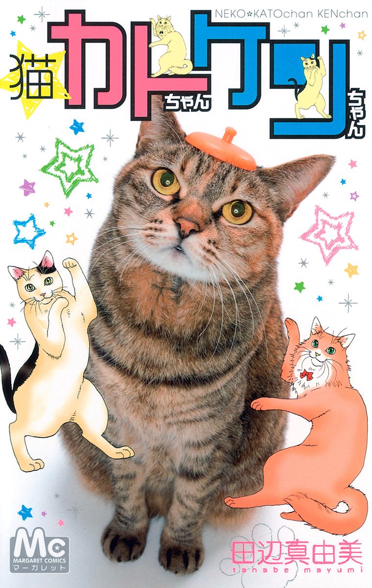 猫☆カトちゃんケンちゃん【期間限定試し読み増量】