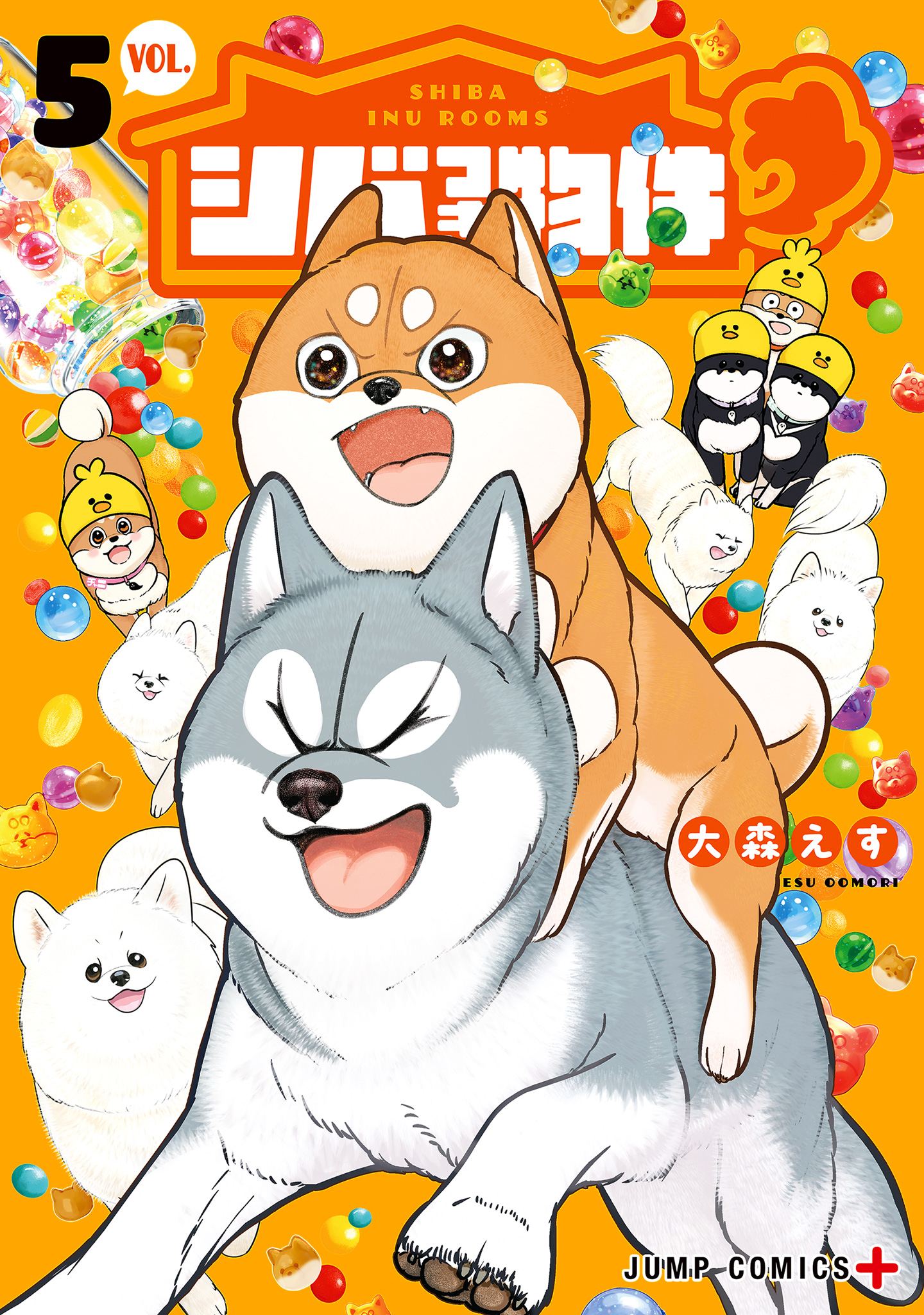 シバつき物件 5