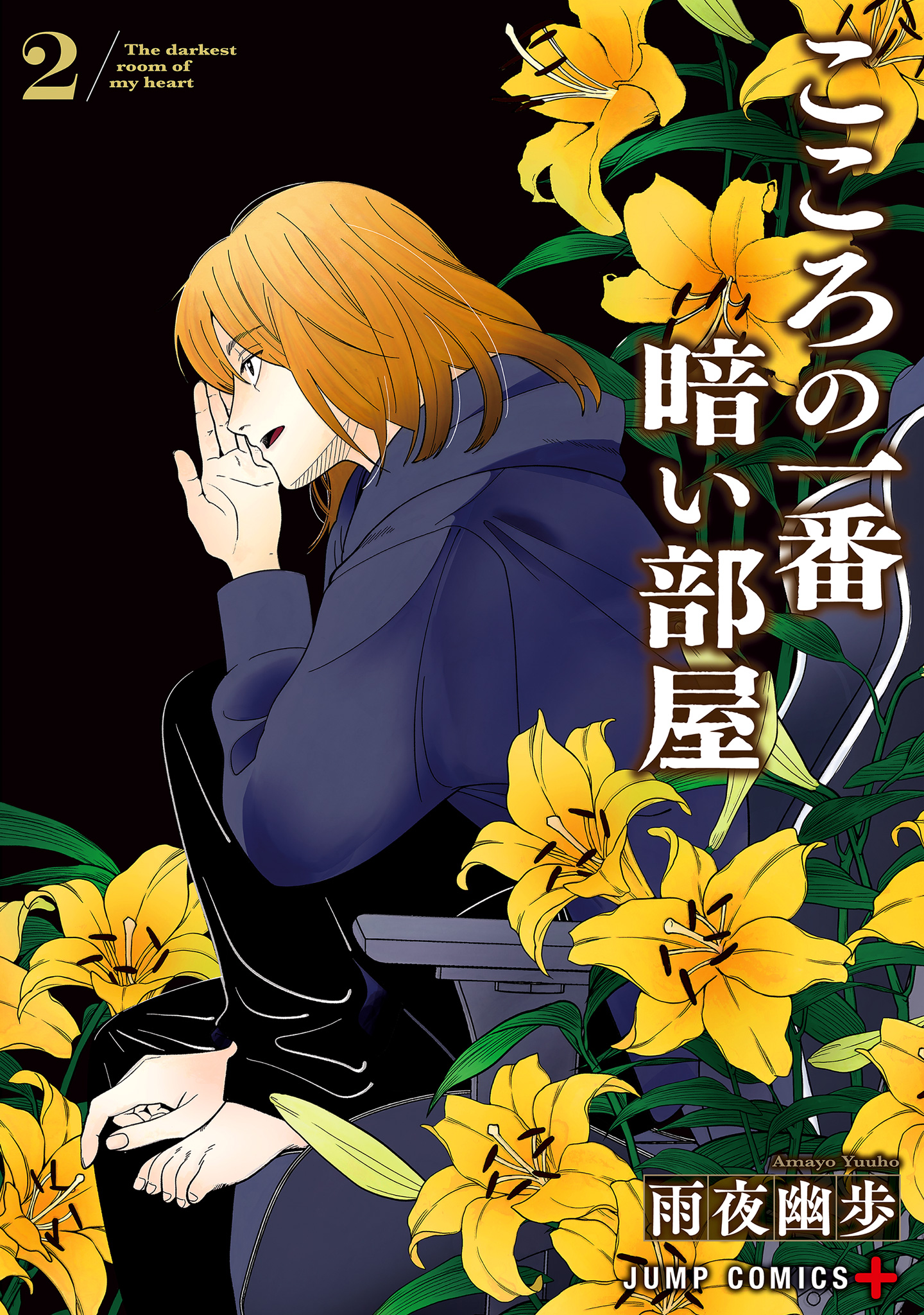 こころの一番暗い部屋 2