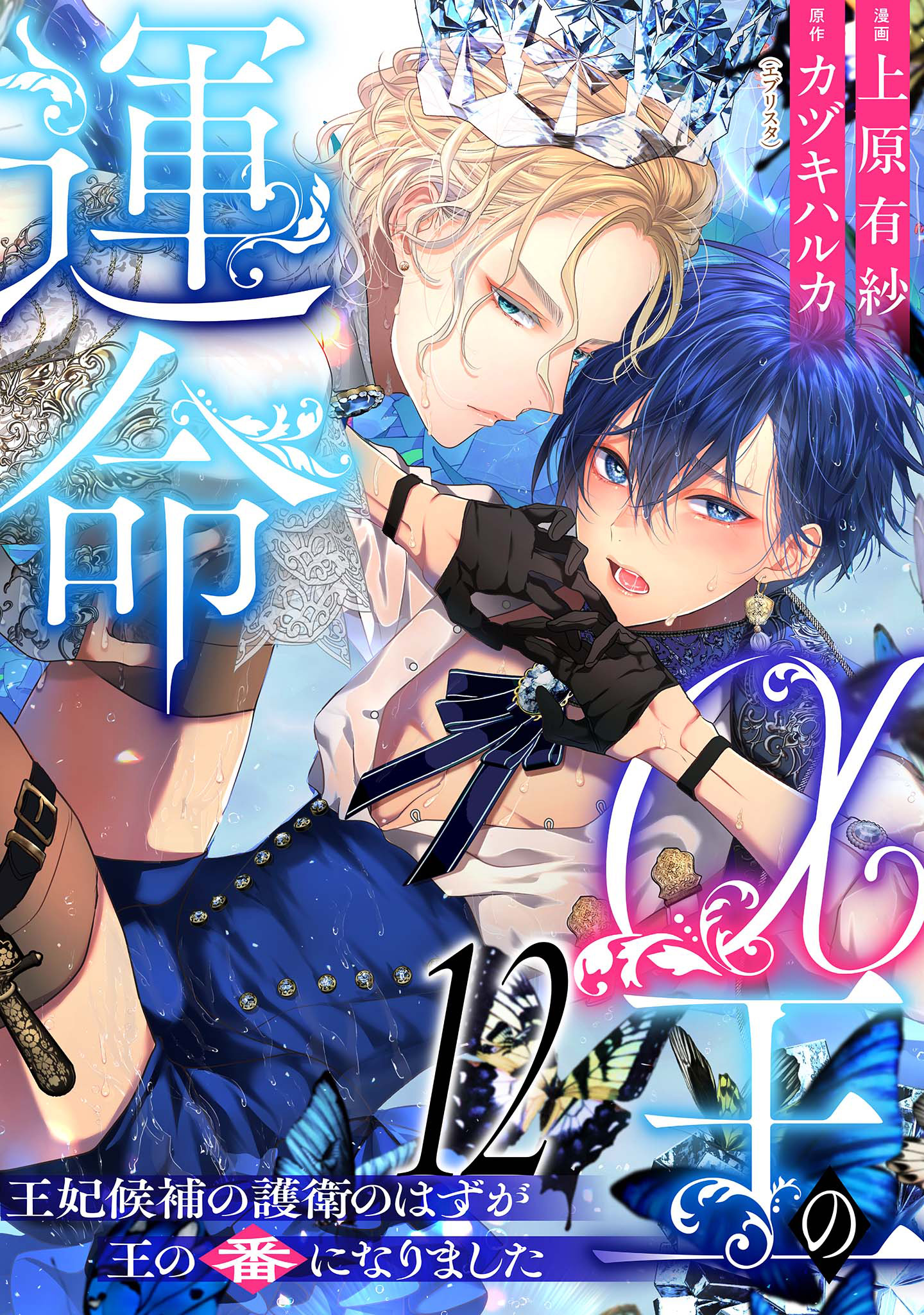 α王の運命～王妃候補の護衛のはずが王の番になりました～