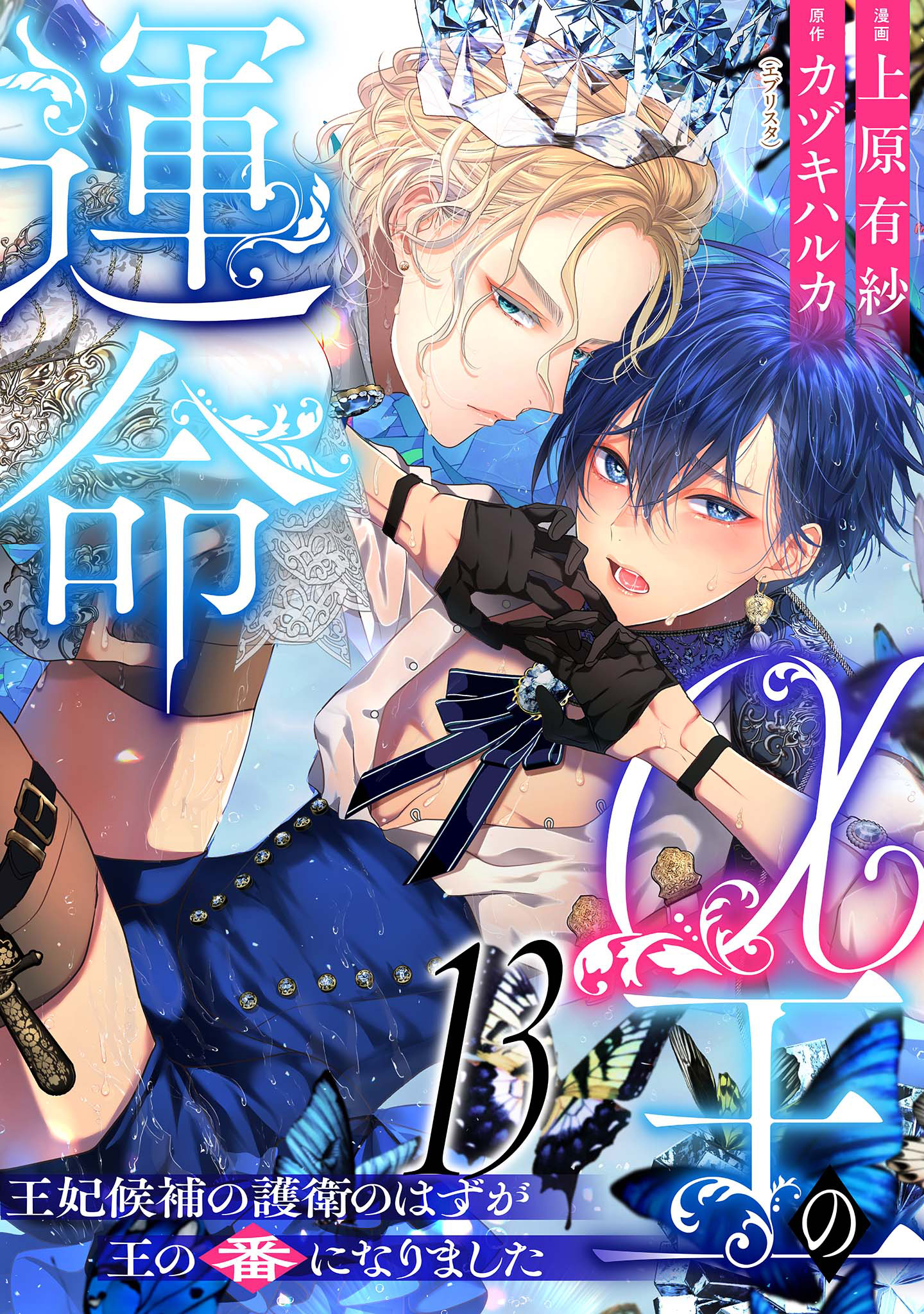 α王の運命～王妃候補の護衛のはずが王の番になりました～