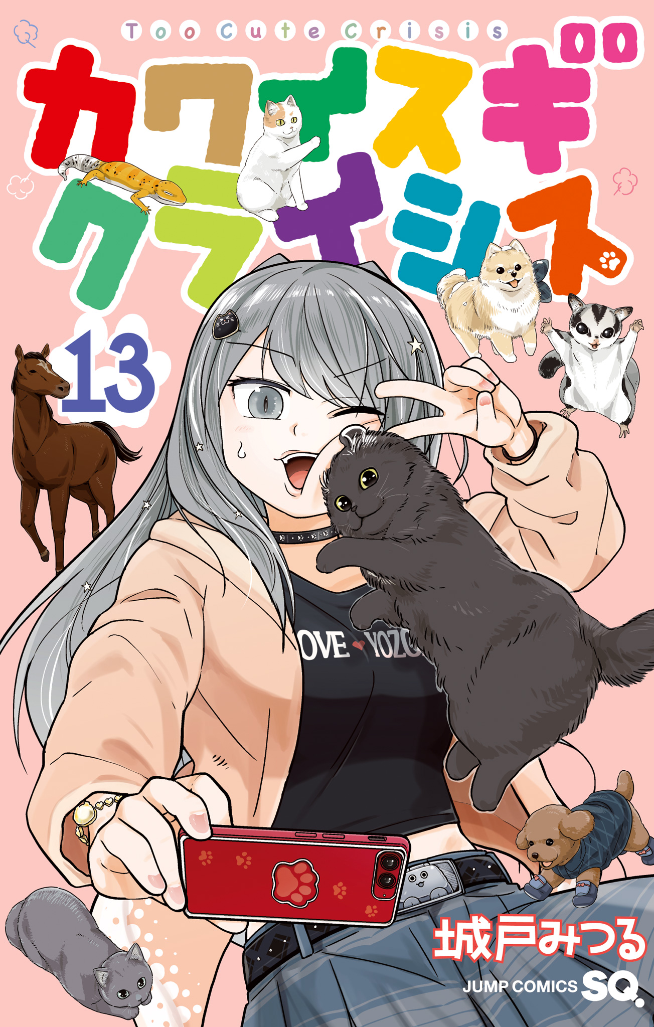 カワイスギクライシス 13