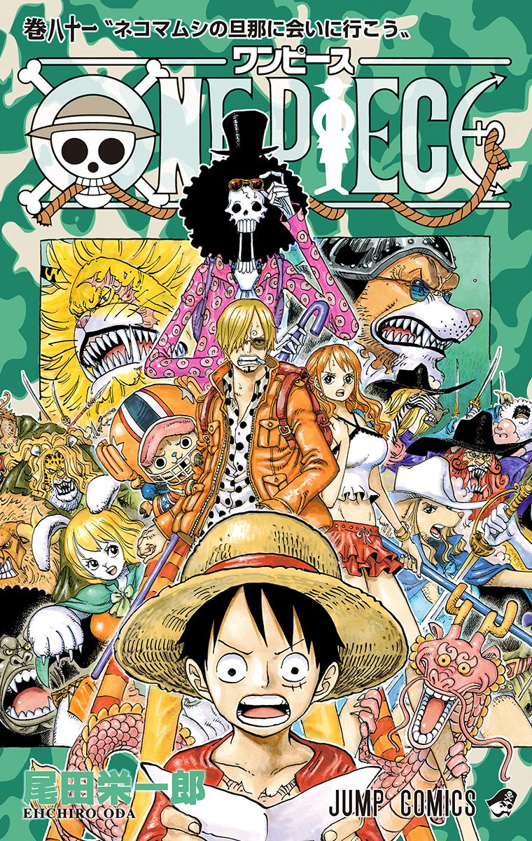 ONE PIECE カラー版 81