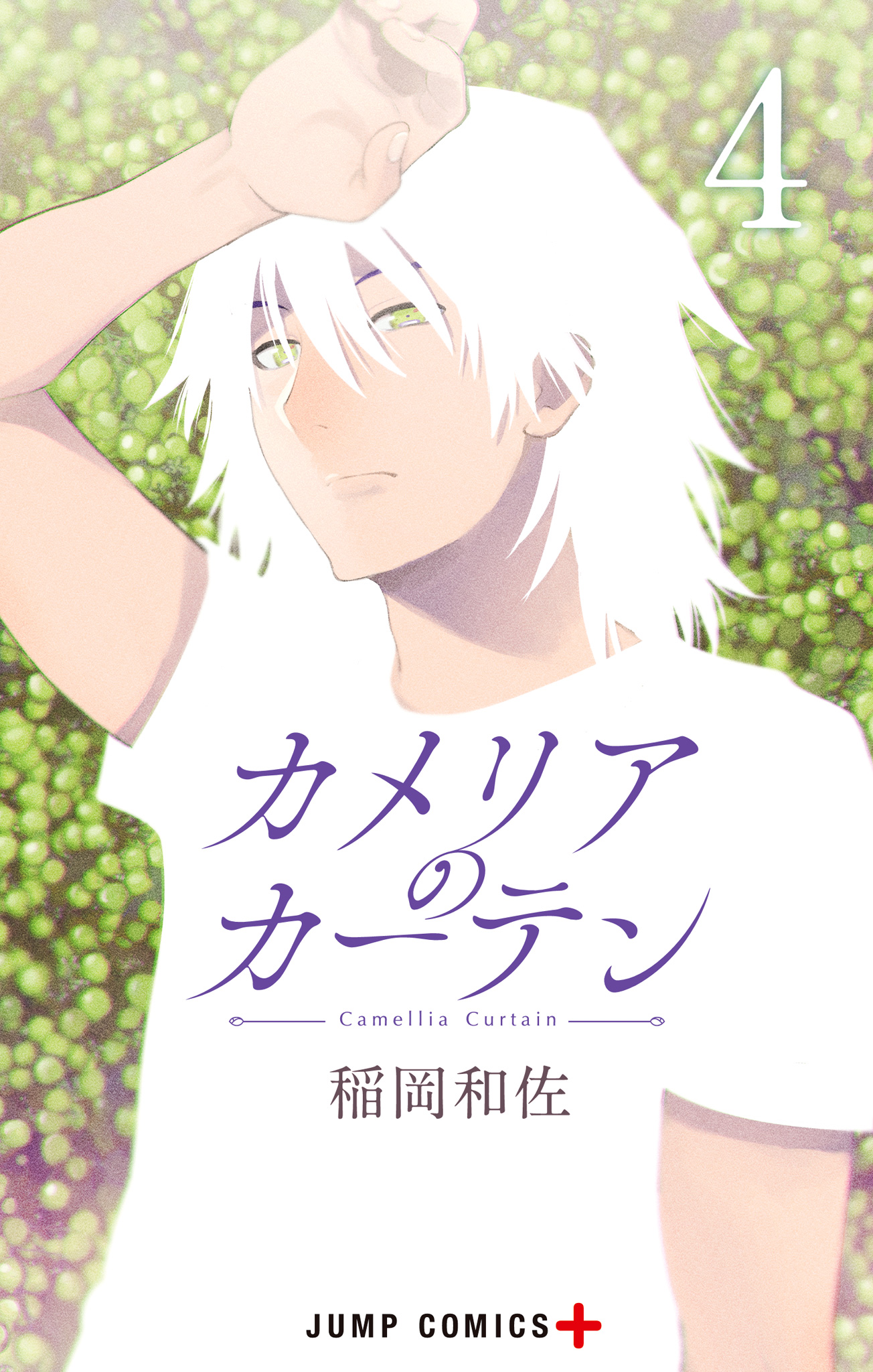 カメリアのカーテン 4