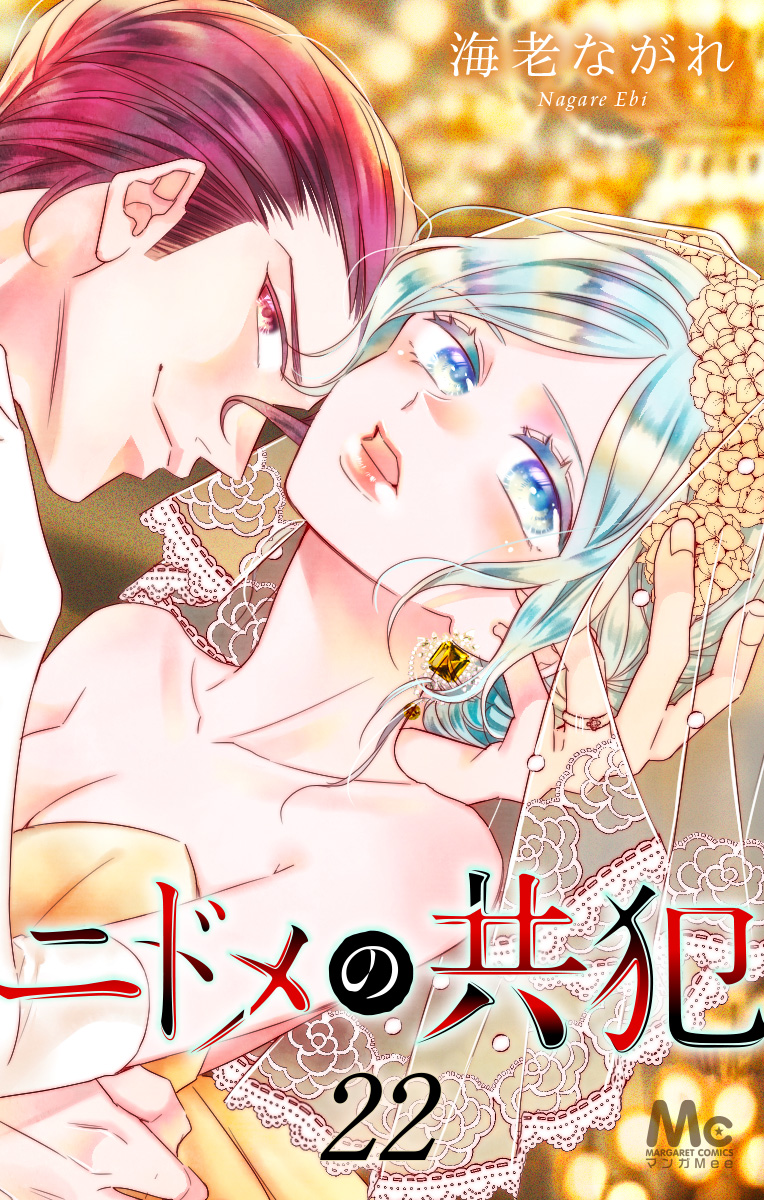 ニドメの共犯 22