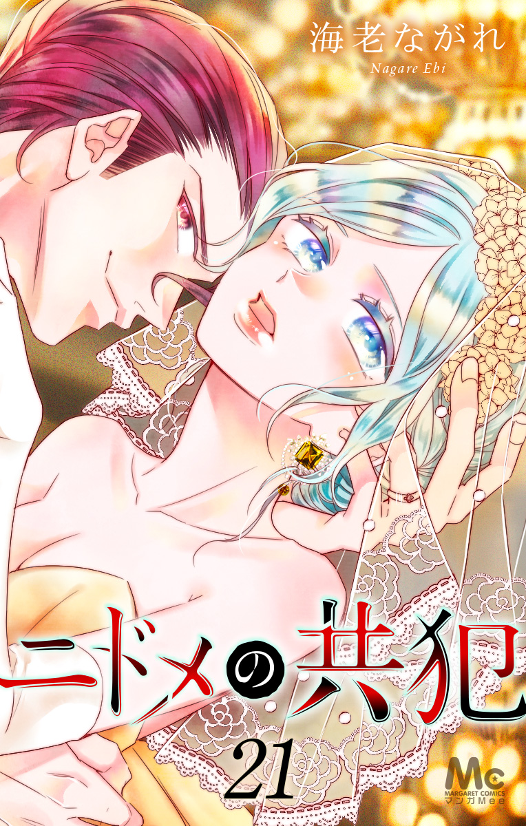 ニドメの共犯 21