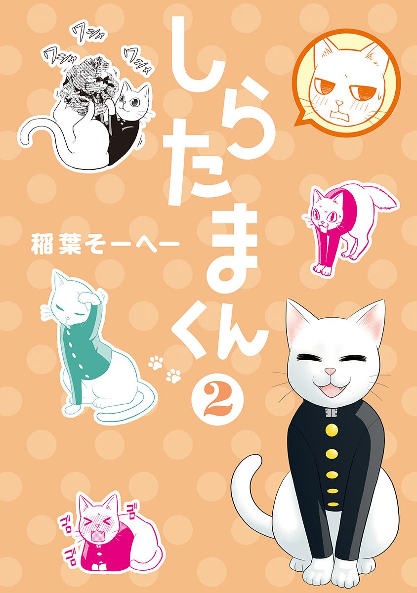 しらたまくん 2