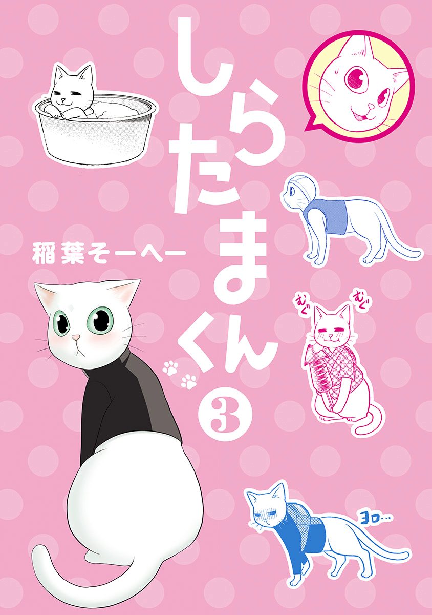 しらたまくん 3