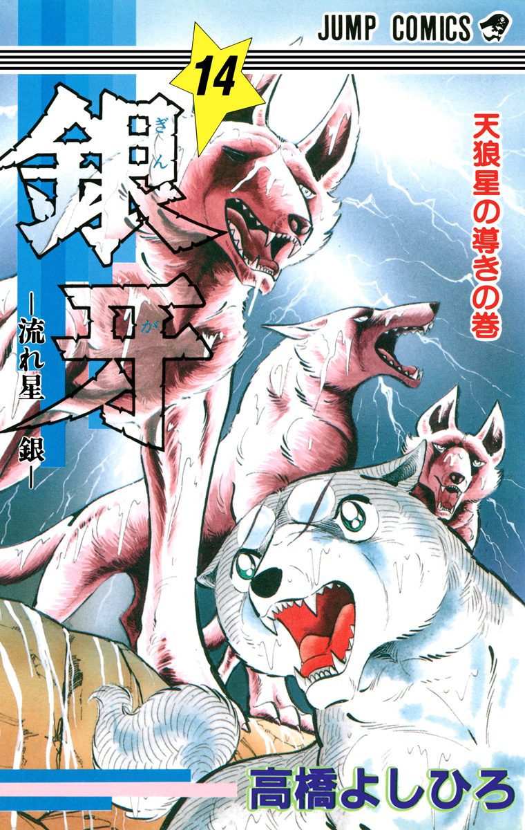 銀牙—流れ星 銀— 集英社版 14 - 高橋よしひろ | 少年ジャンプ＋