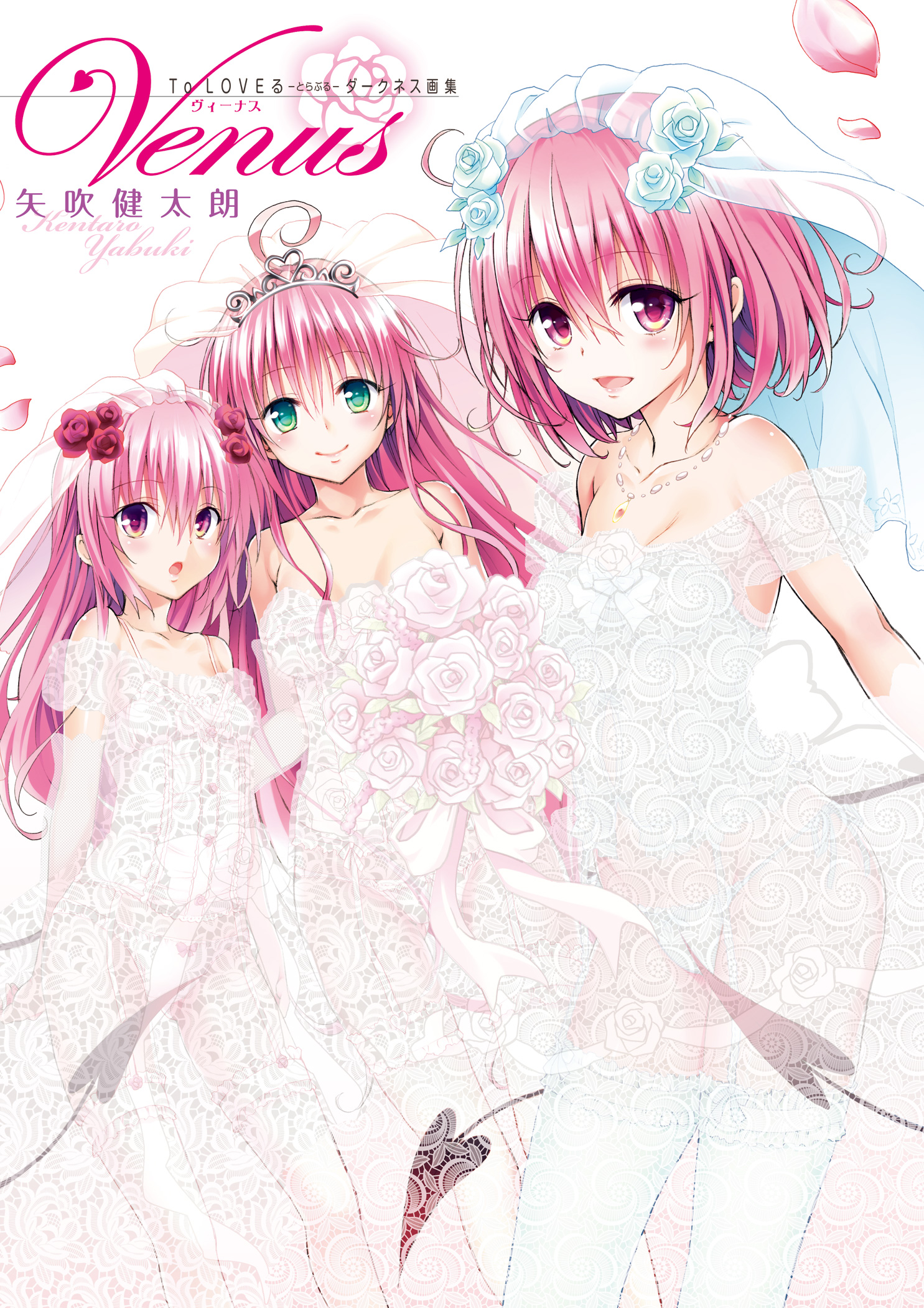 To LOVEる—とらぶる—ダークネス画集 Venus