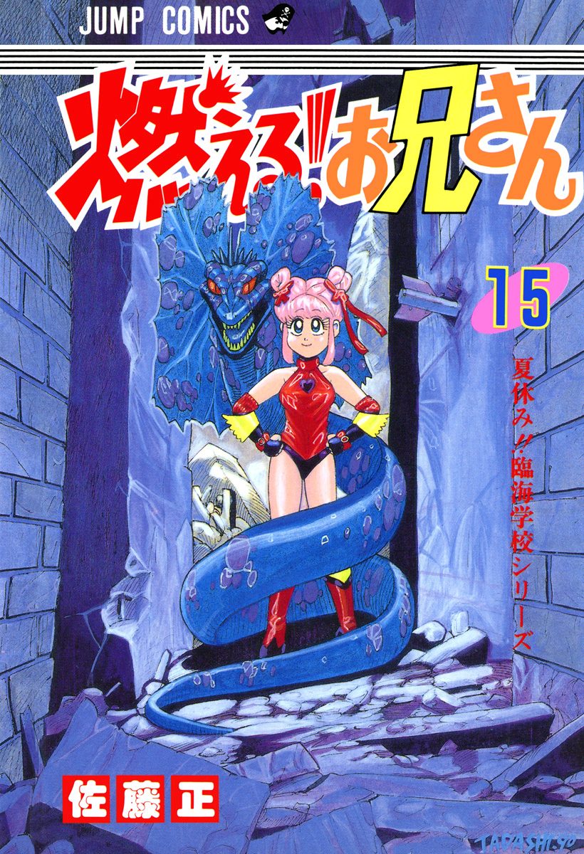 燃える！お兄さん 15