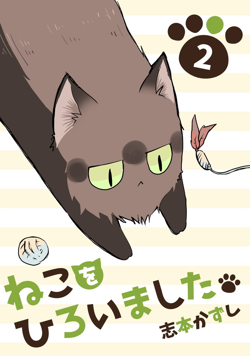 ねこをひろいました。 2