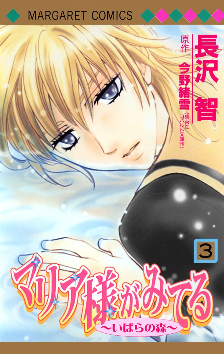 マリア様がみてる 3