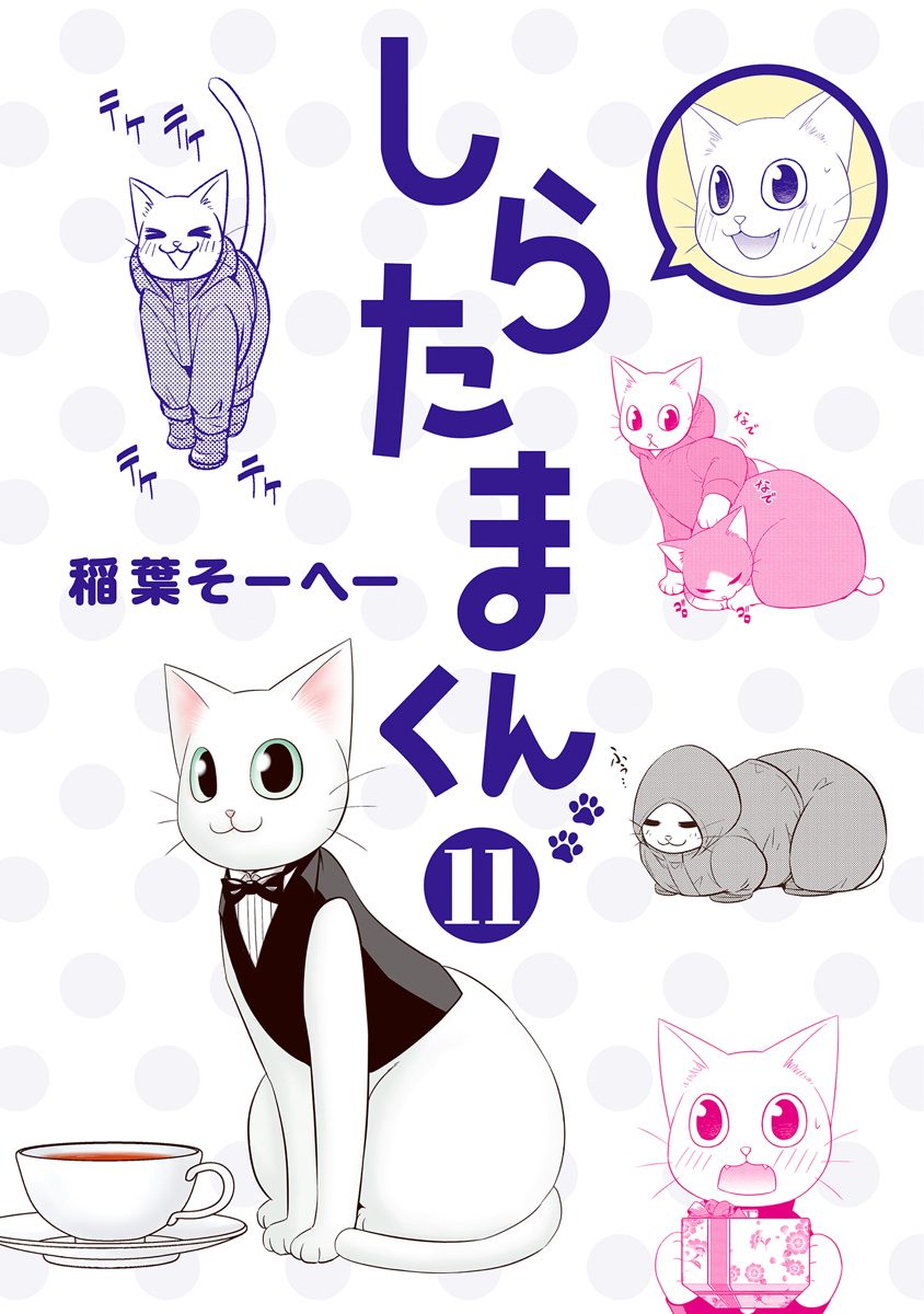 しらたまくん 11