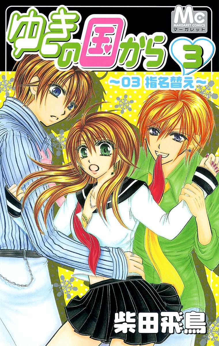 ゆきの国から 3