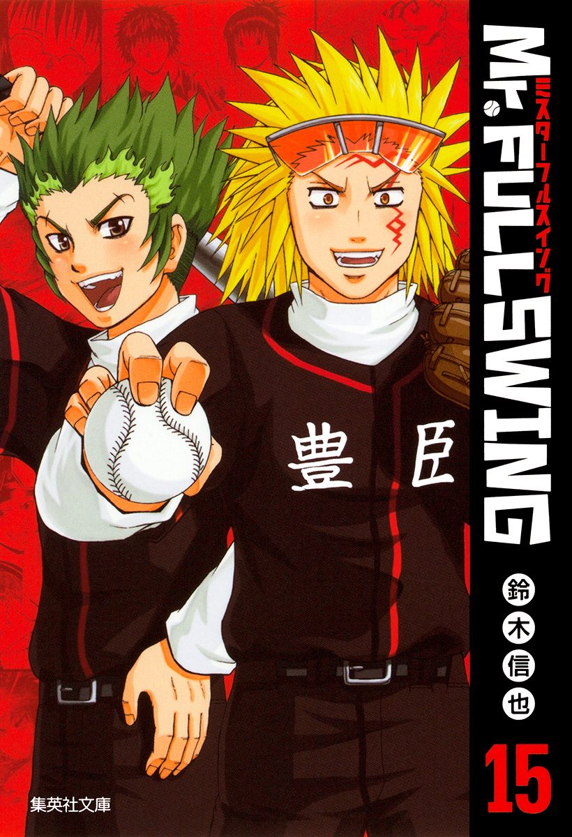 Mr.FULLSWING 15