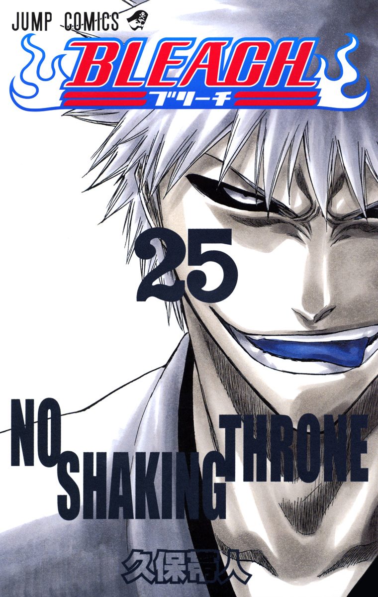 BLEACH カラー版 25