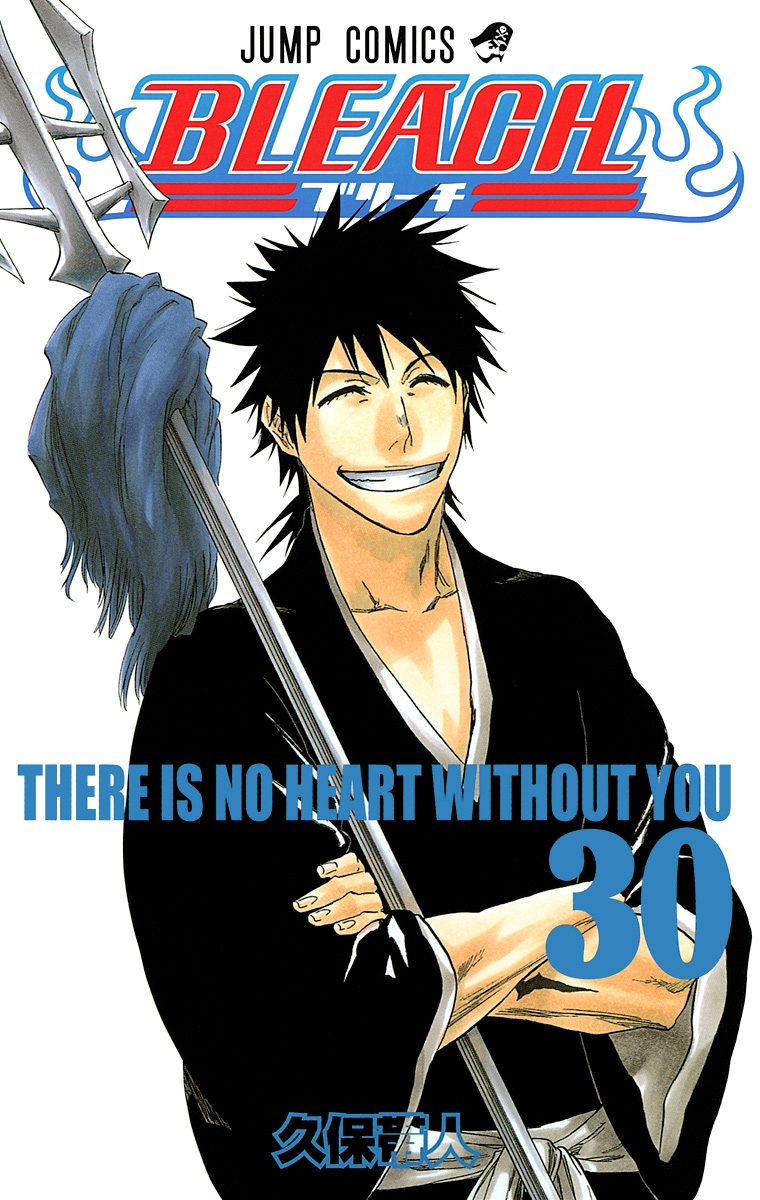 BLEACH カラー版 30