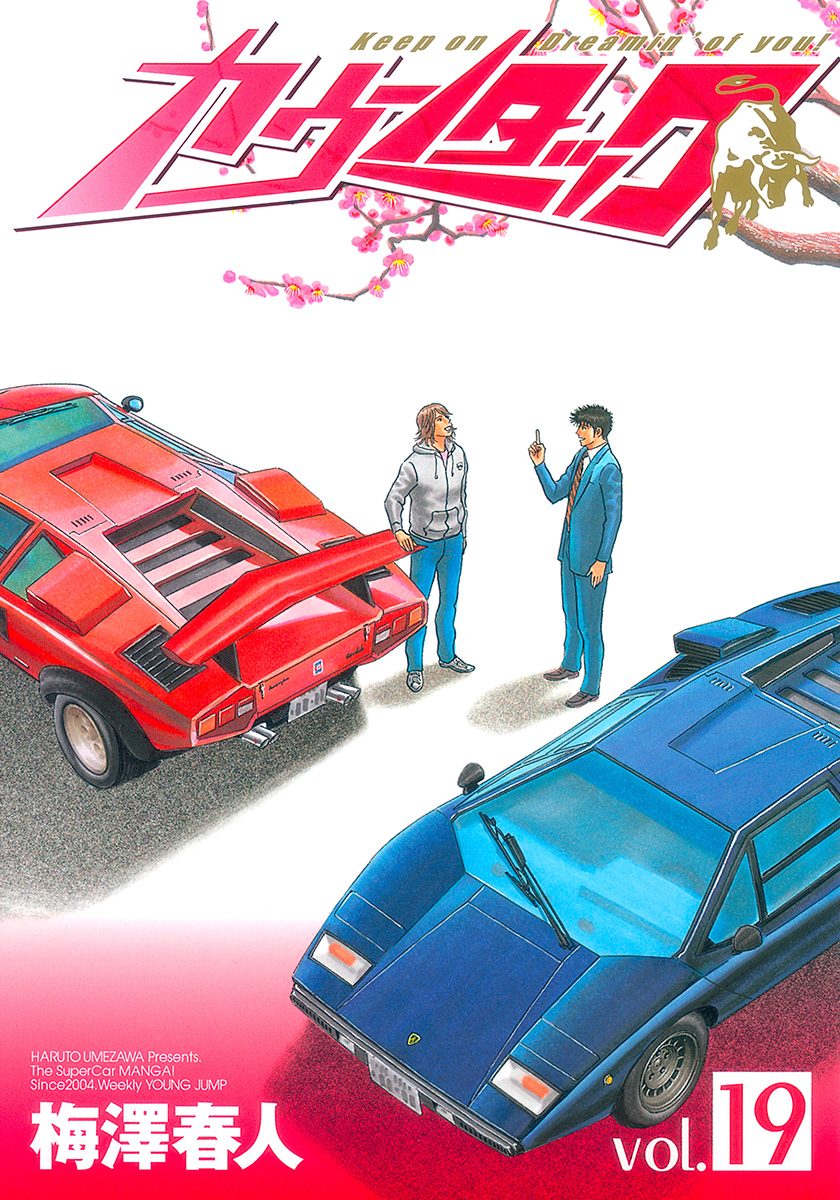 カウンタック 19