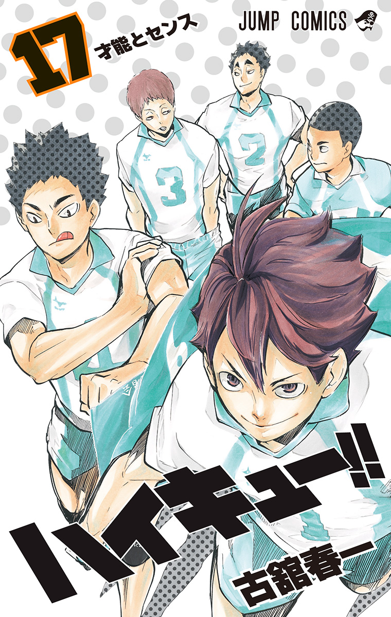 ハイキュー!! カラー版 17