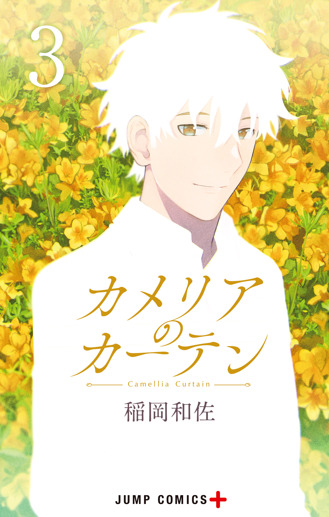 カメリアのカーテン 3