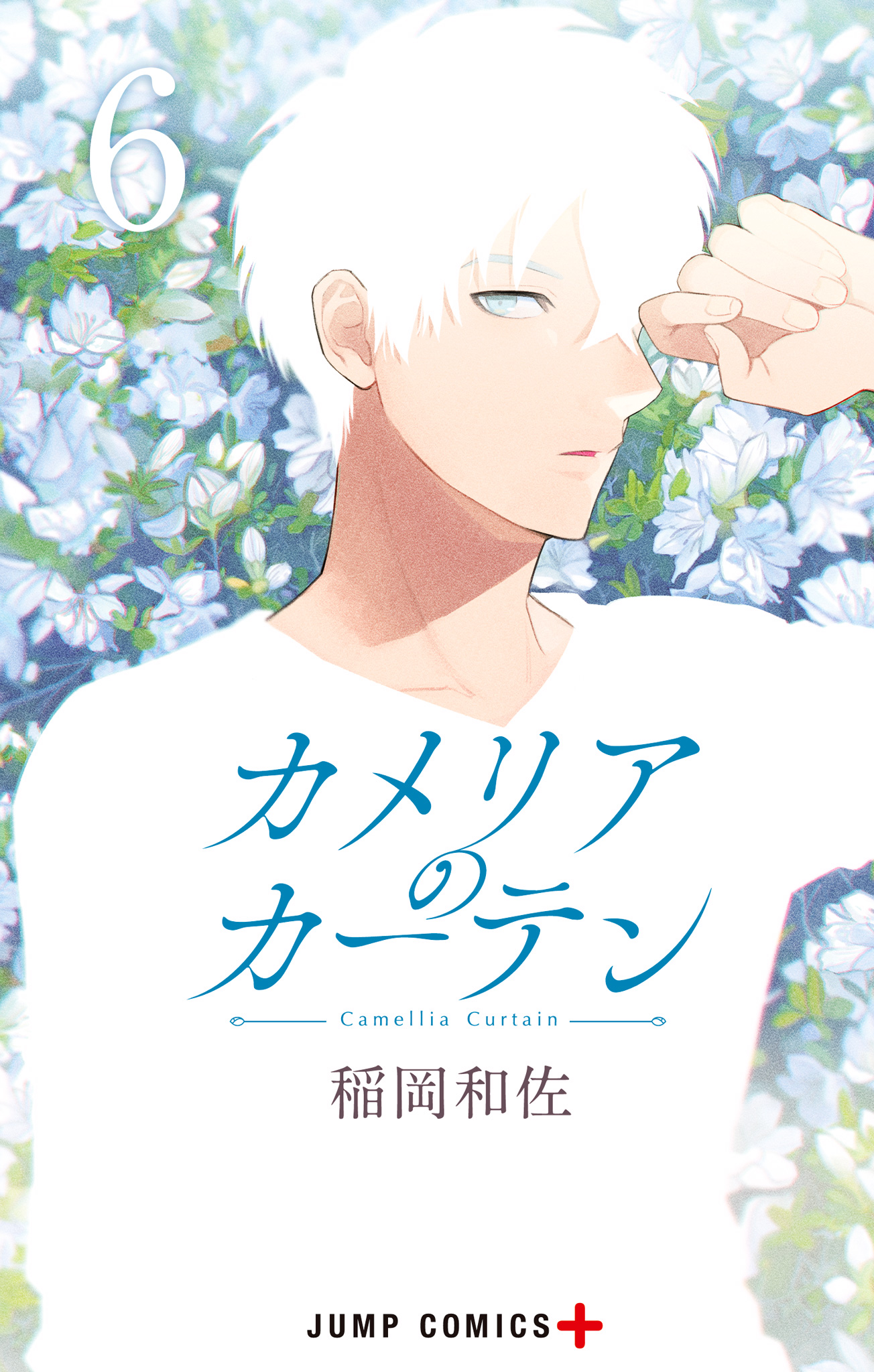 カメリアのカーテン 6