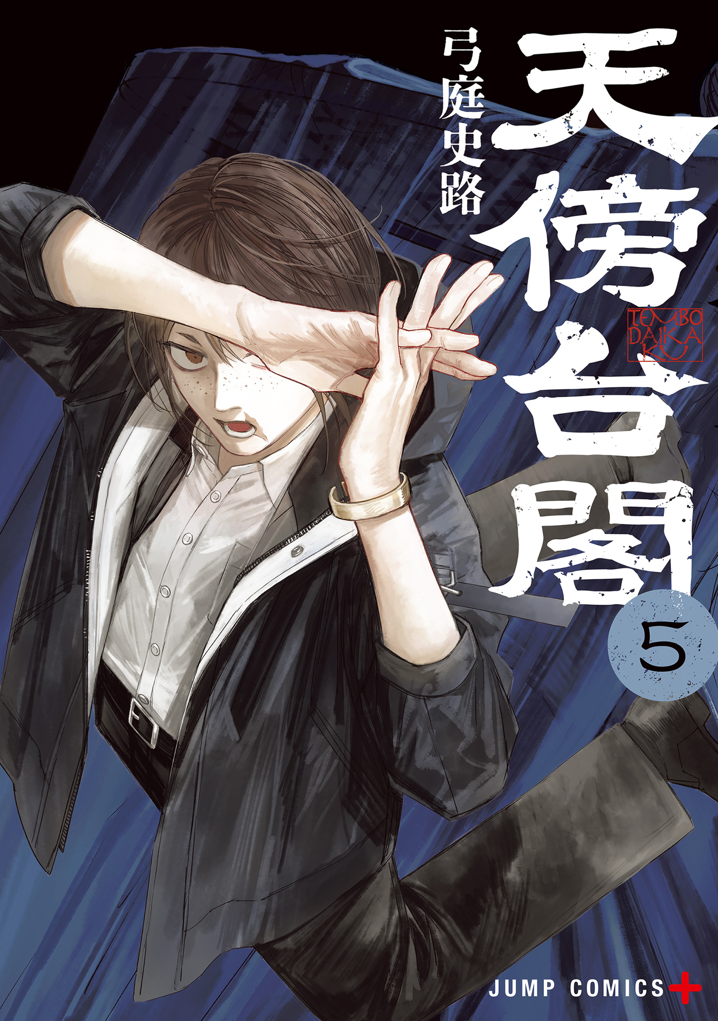 天傍台閣 5