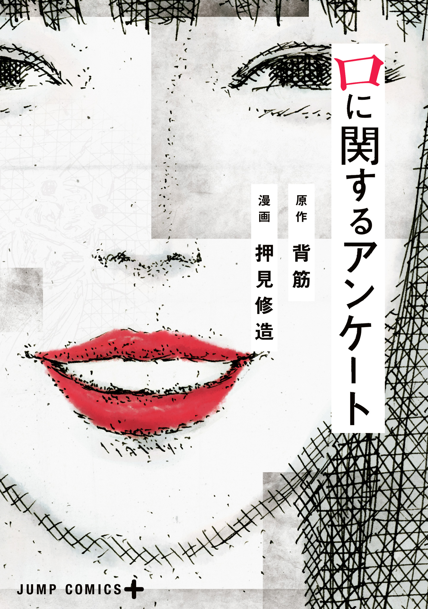 口に関するアンケート