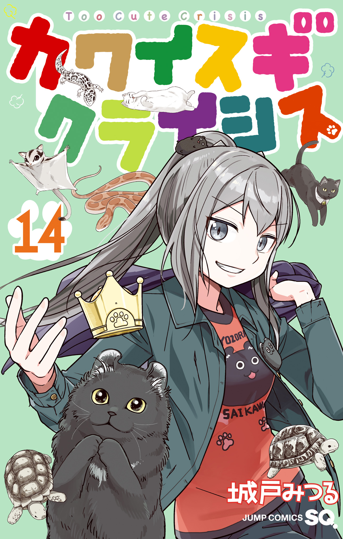 カワイスギクライシス 14